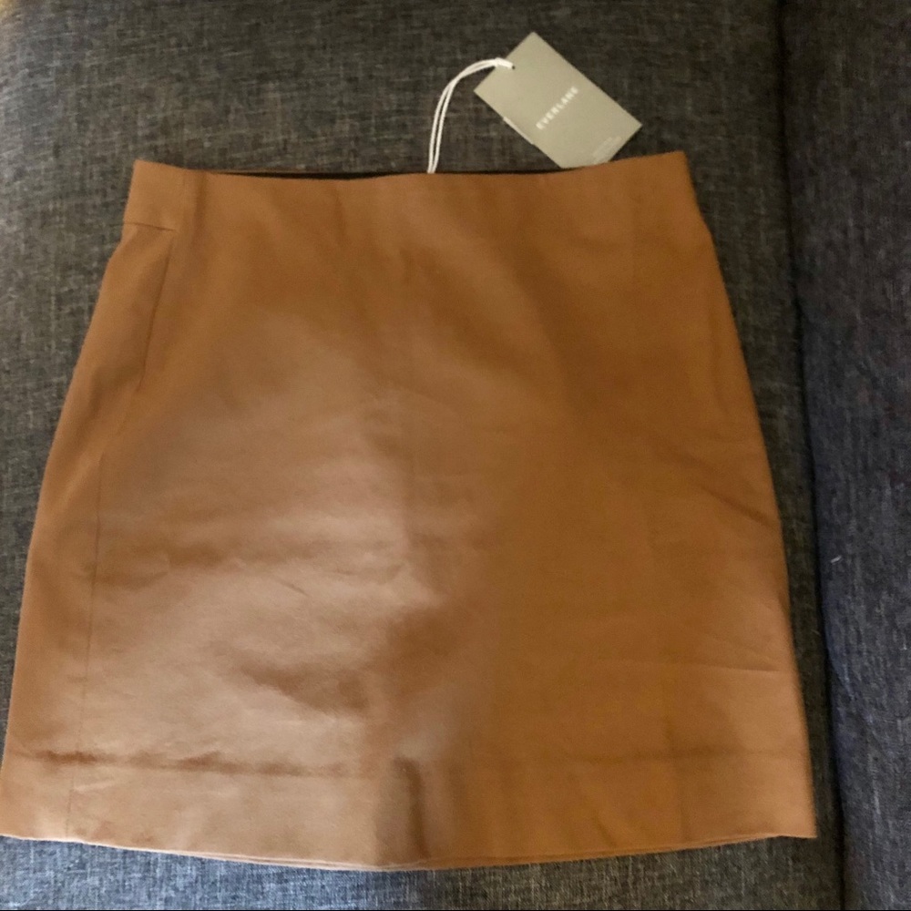 Everlane skirt
